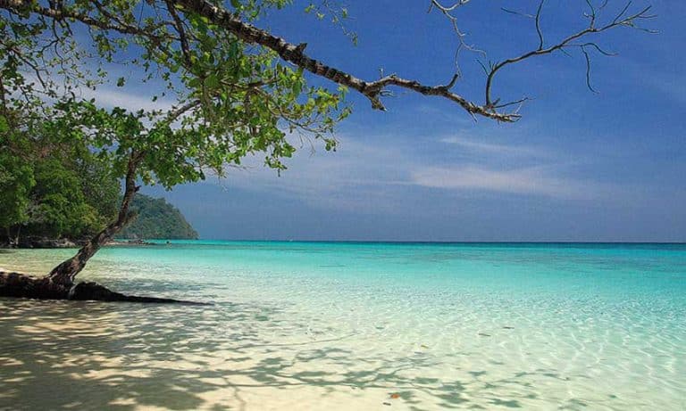 เกาะกระดาน-ชายหาดที่สวยที่สุดในโลก 5 ชายหาดที่สวยที่สุด